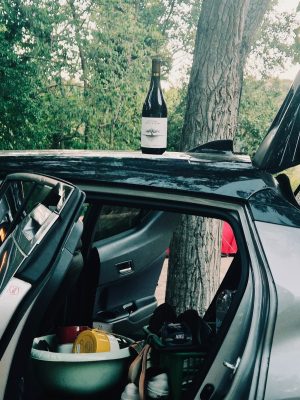 insta-slider-la-pointe-1