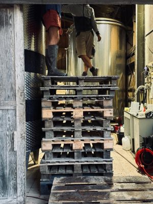 insta-slider-la-pointe-4
